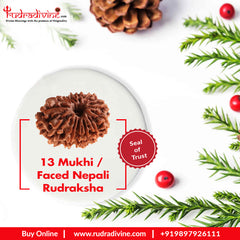 13 Faced Natural Nepali Rudraksha Beads collector