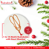 1 to 14 Mukhi Rudraksha with Gauri Shankar kantha indonesia