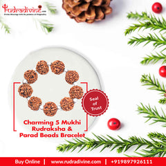 Charming 5 Mukhi Rudraksha & Parad beads Bracelet
