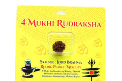 4 face / Mukhi Nepali Rudraksha
