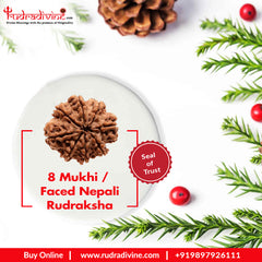 8 Faced Natural Nepali Rudraksha Beads