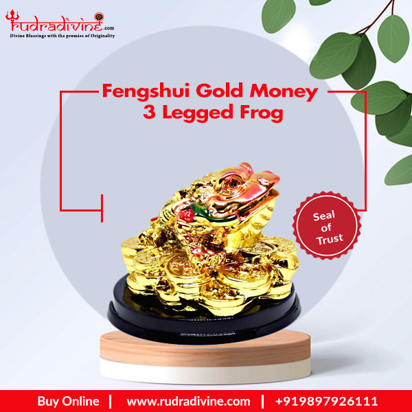 Fengshui Gold Money 3 Legged Frog