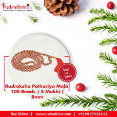 Rudraksha  semi Pathariya Mala 108 Beads