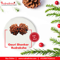 Gauri Shankar Rudraksha