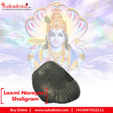 Laxmi Narayan Shaligram