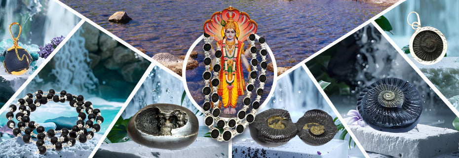 Shaligram Stones