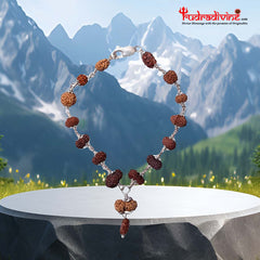 1 -14 Mukhi Rudraksha Silver Bracelet