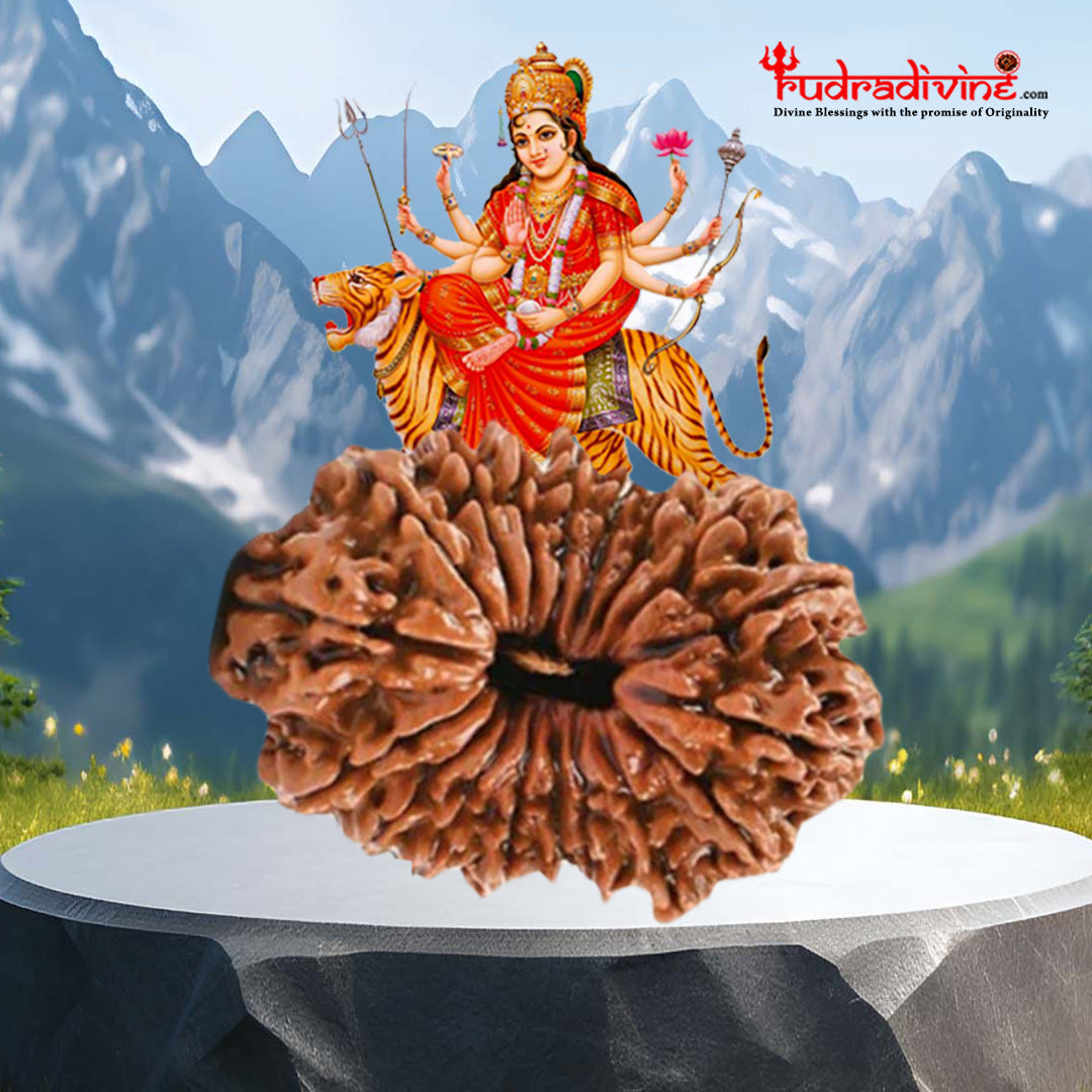 18 Mukhi Nepali Rudraksha Beads