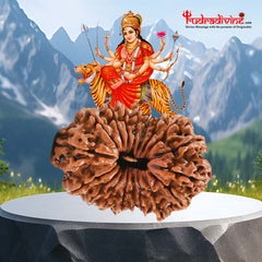 18 Mukhi Nepali Rudraksha Beads