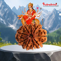 9 Faced Natural Nepali Rudraksha Bead