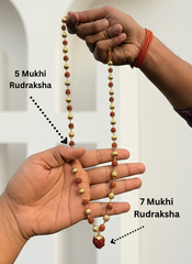Divye 5 Mukhi Rudraksha Mala with Powerful 7 Mukhi Rudraksha Pendant