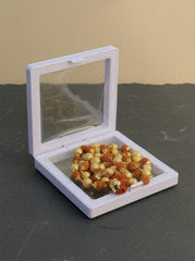 Divye 5 Mukhi Rudraksha Mala with Powerful 7 Mukhi Rudraksha Pendant