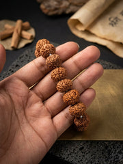 9 Mukhi Rudraksha Bracelet