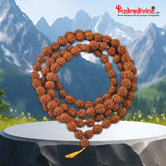 Rudraksha Japa Beads Mala