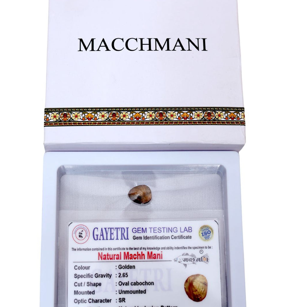 Rudra divine Certified Machh Mani sea stone Reduces and Removes Rahu I ...