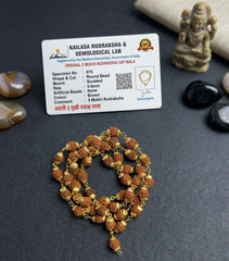 5 Mukhi Rudraksha Mala with Gold-Plated Beads for Men & Women