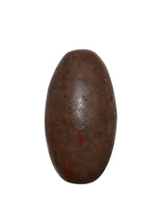 Natural Narmada Shivling for Sawan Shiv Puja | Original Banalinga Shiva Lingam | Sacred Stone for Abhishek, Rudrabhishek & Home Temple