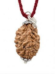 RUDRADIVINE 2 Mukhi Rudraksha Original Natural Rudraksha Bead with Red Thread | Puja, Meditation, Spiritual Practice & Devotional Use