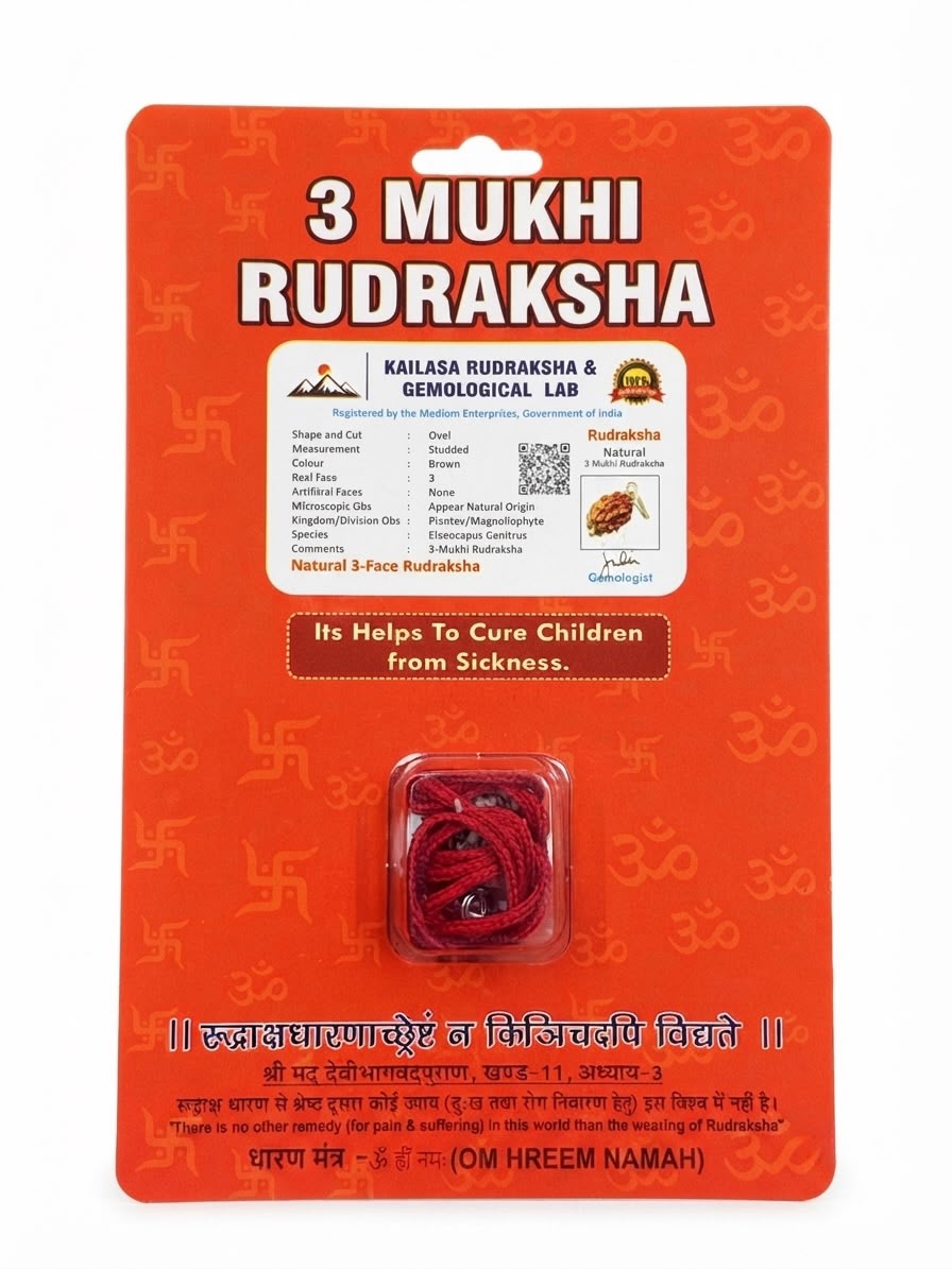 RUDRADIVINE 3 Mukhi Rudraksha with Silver Plated Cap | 3 Mukhi Rudraksh Pendant for Puja, Meditation, Mantra Chanting & Spiritual Practice