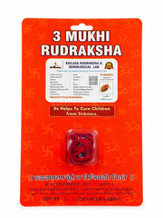 RUDRADIVINE 3 Mukhi Rudraksha with Silver Plated Cap | 3 Mukhi Rudraksh Pendant for Puja, Meditation, Mantra Chanting & Spiritual Practice