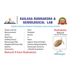 RUDRADIVINE 3 Mukhi Rudraksha with Silver Plated Cap | 3 Mukhi Rudraksh Pendant for Puja, Meditation, Mantra Chanting & Spiritual Practice