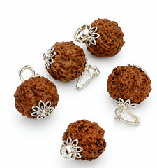 RUDRADIVINE 5 Mukhi Rudraksha Pendant  SET OF 5
