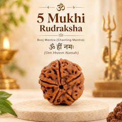RUDRADIVINE 5 Mukhi Rudraksha Pendant with Red Sacred Mauli Thread for Puja