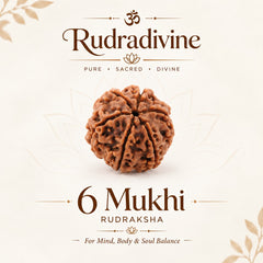 06 Mukhi / Faced Natural Nepali Rudraksha Beads