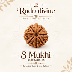 8 Faced Natural Nepali Rudraksha Beads