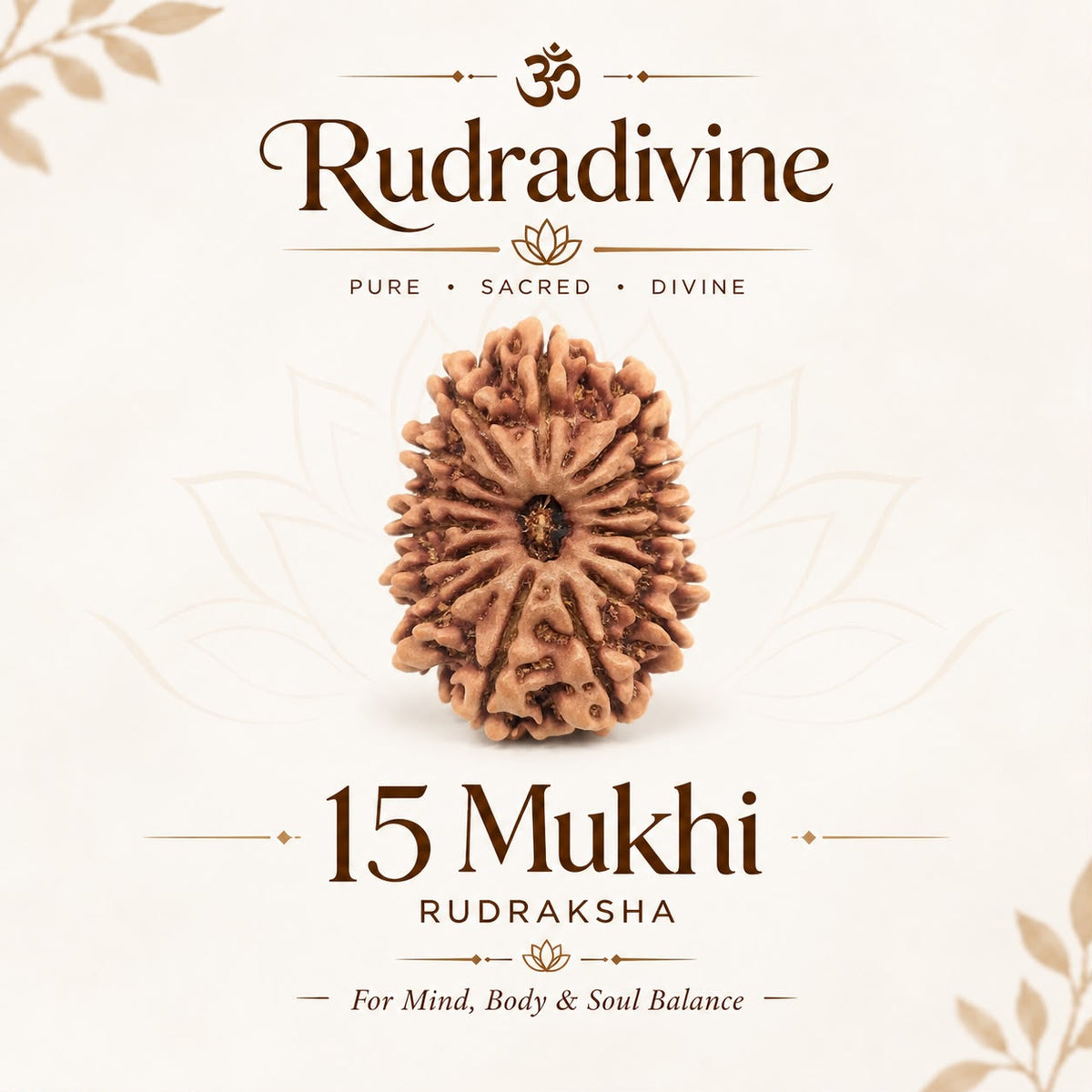 15 Faced Natural Nepali Rudraksha Beads