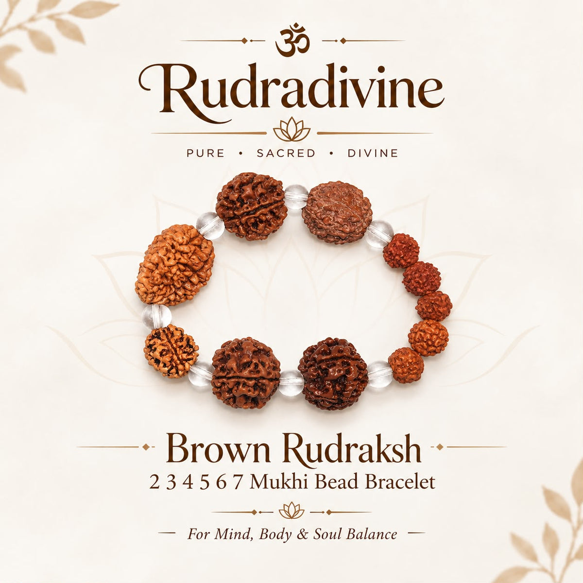 Brown Rudraksh 2 3 4 5 6 7 Mukhi  Beads