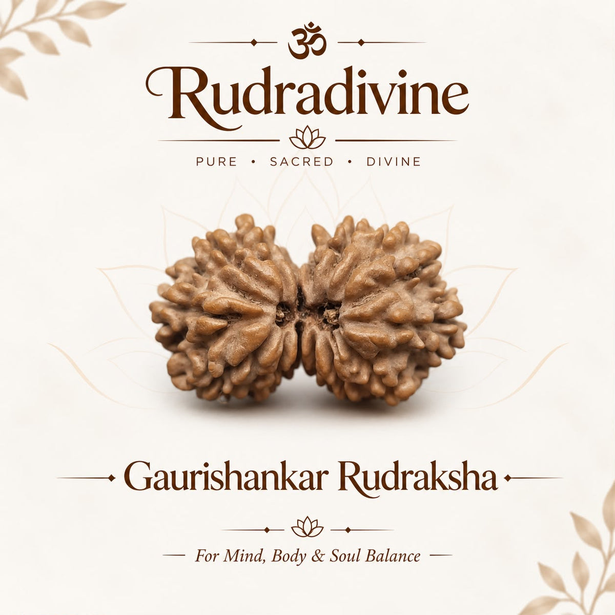 Gauri Shankar Rudraksha