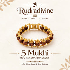 Premium 5 Mukhi Rudraksha Gold Plated Bracelet – Unisex