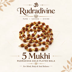 5 Mukhi Rudraksha Mala with Gold-Plated Beads for Men & Women