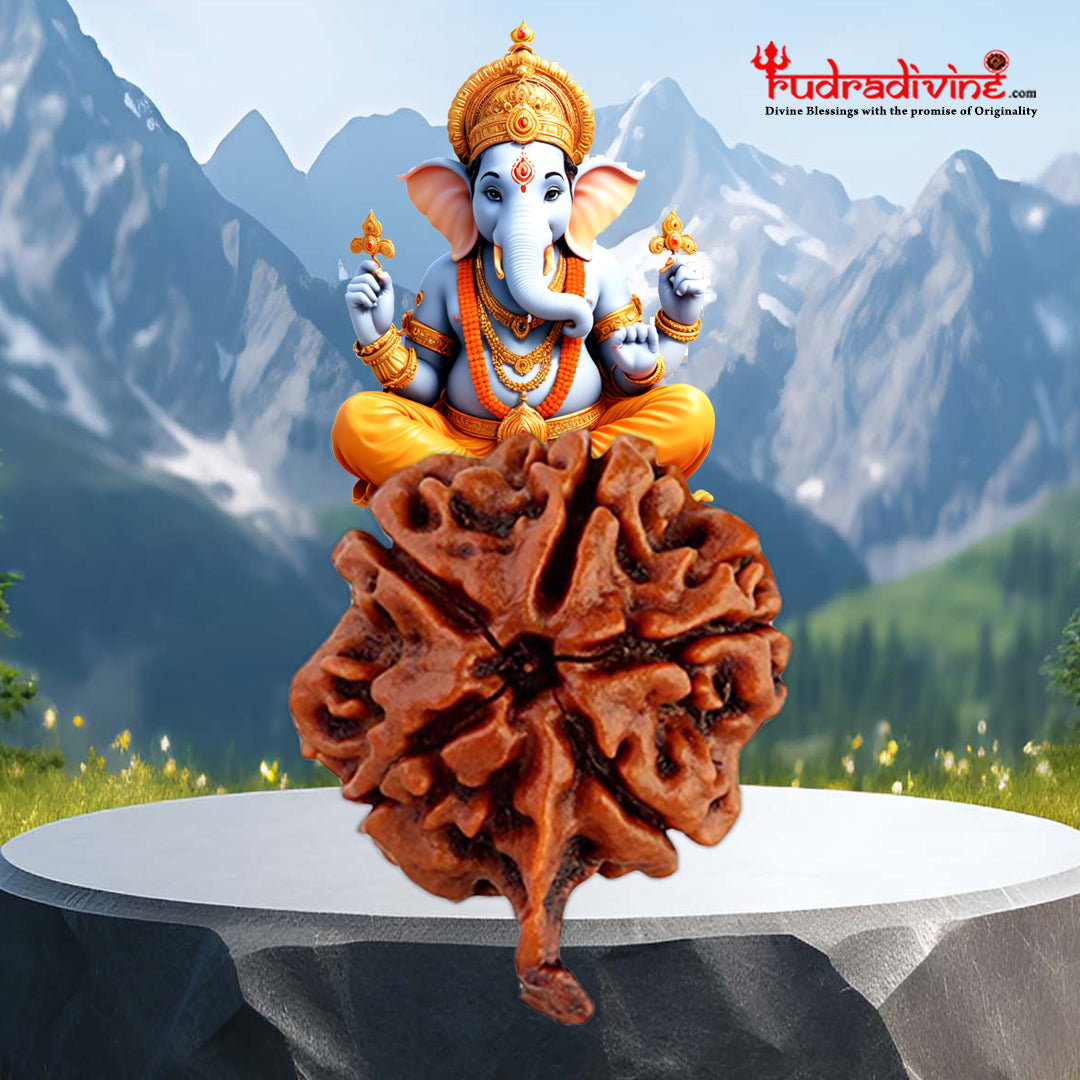 Ganesh Rudra Roop Ganesh Rudraksha Collector – RudraDivine