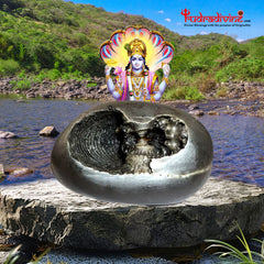 Laxmi Narayan Shaligram