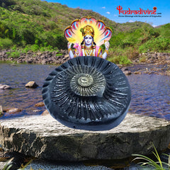 Sudarshan Shaligram