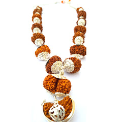 1 -14 Mukhi Rudraksha Siddha Mala with silver Cap