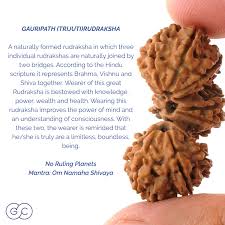 Trijuti Rudraksha