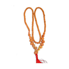 1 to 14 Mukhi Rudraksha with Gauri Shankar kantha