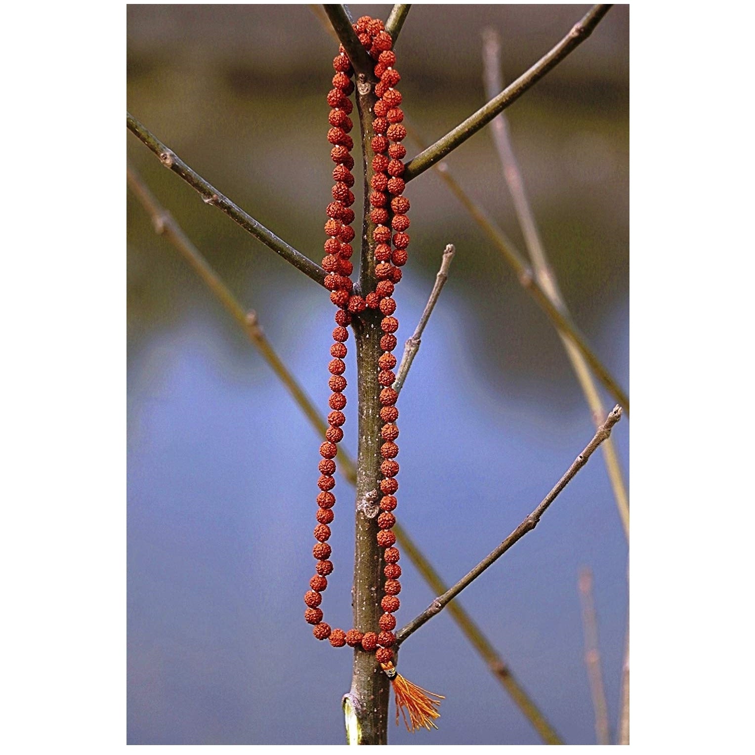 Rudraksha Japa Beads Mala