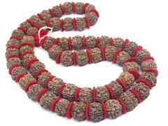 5 mukhi rudraksha kantha