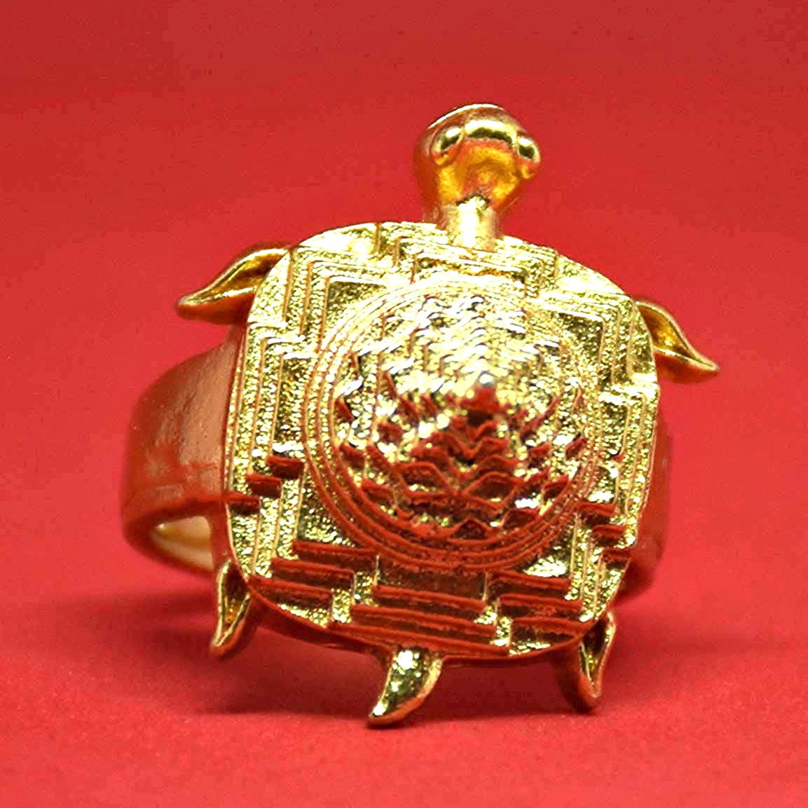 Tortoise Ring - Get Good Luck And Prosperity – Bejan Daruwalla
