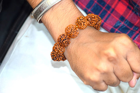 6 Mukhi Rudraksh  Bracelet