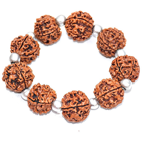 Charming 5 Mukhi Rudraksha & Parad beads Bracelet
