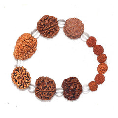 Brown Rudraksh 2 3 4 5 6 7 Mukhi  Beads