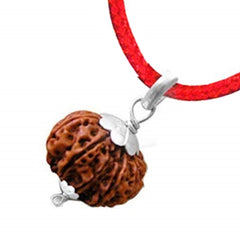 9 Mukhi Rudraksha Pendant kavach