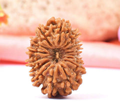 15 Faced Natural Nepali Rudraksha Bead