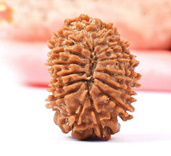 15 Faced Natural Nepali Rudraksha Bead