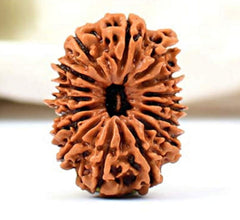 17 Faced Natural Nepali Rudraksha Beads